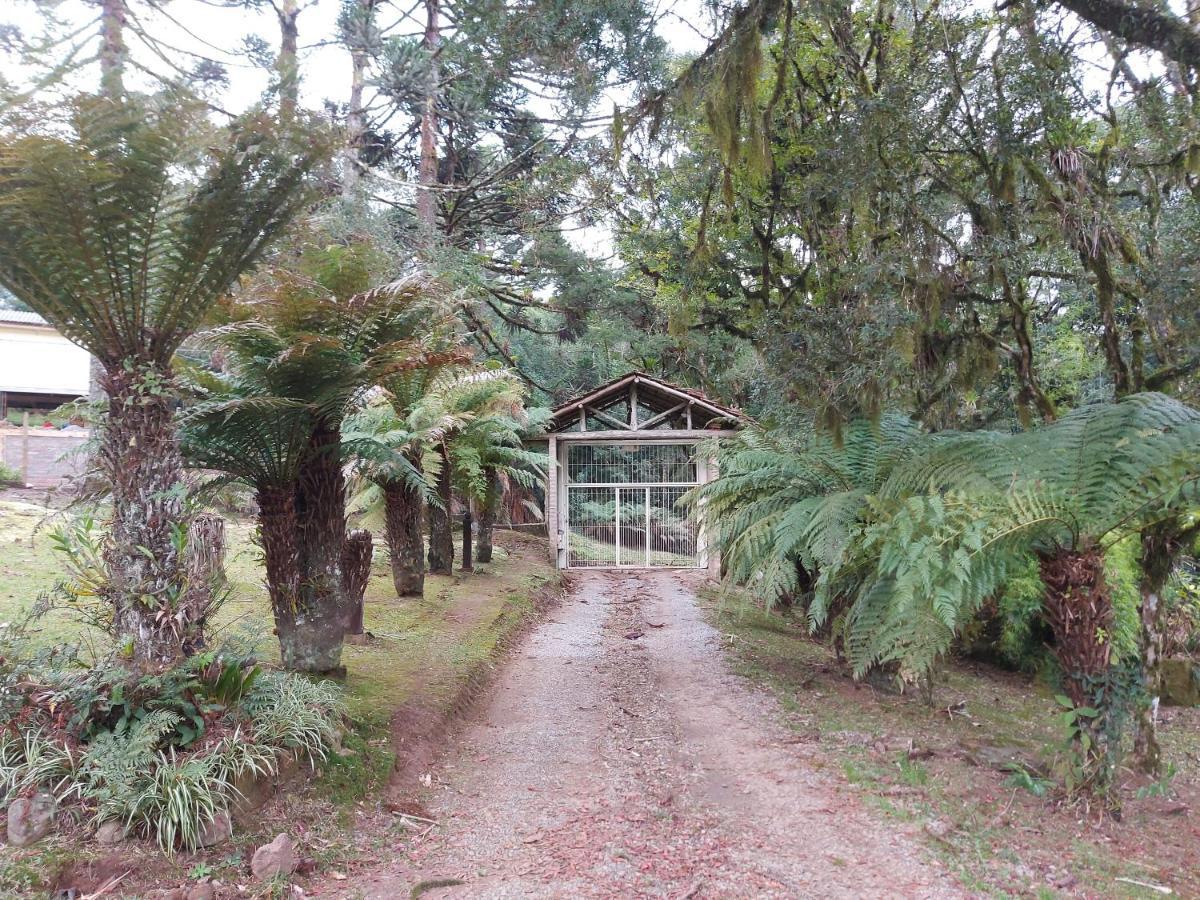 Sitio Dos Amigos Leilighet Canela Eksteriør bilde